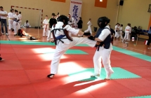 1395192_262884280551688_452586006_n