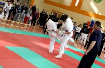 1465412_262884567218326_309723253_n
