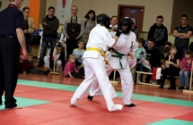 1535385_262937263879723_407942500_n