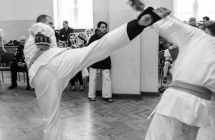 Egzamin_2014 (15)