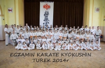 Egzamin_2014 (27)