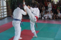 mw_kumite (21)