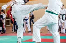 mpz (41)