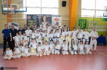 mpz (44)