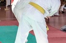 mpz (51)
